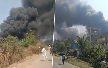 Palghar Fire: पालघर येथील एमआयडीसीमध्ये भीषण आग, आग विझवण्याचे काम सुरु