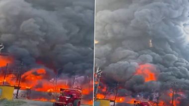 Fire Caught MIDC Factory In Sinnar: सिन्नरमधील MIDC तील कारखान्याला भीषण आग, Watch Video