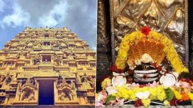 Bone Pieces Found In Prasadam: आंध्रच्या श्रीशैलम मंदिराच्या प्रसादात सापडले हाडांचे तुकडे; भक्ताची मंदिर व्यवस्थापनाकडे तक्रार