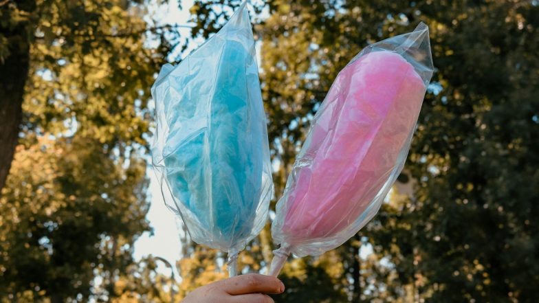 Cotton Candy Banned in Tamil Nadu: तामिळनाडूमध्ये 'बुडी के बाल'च्या विक्रीवर बंदी; कॅन्सर निर्माण करणाऱ्या विषारी रसायनामुळे घेण्यात आला निर्णय