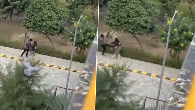 Video- Guy Kicking Girl : प्रियकराकडून प्रेयसीला बेदम मारहाण, व्हॅलेंटाईन डेच्या दिवशी समोर आला व्हिडीओ