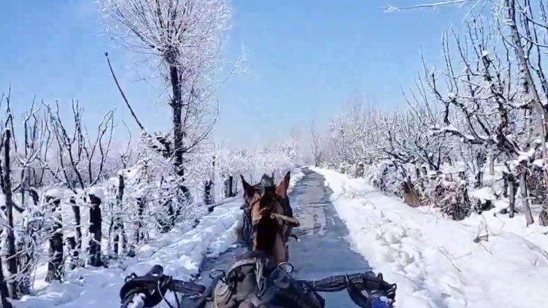 Viral Video: काश्मीरच्या बर्फाळ रस्त्यावर धावणारा टांगा पाहून लोकांनी केली स्वर्गाशी तुलना, पहा व्हिडिओ