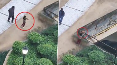 Greater Noida Animal Cruelty Video: अल्पवयीन मुलाने कुत्र्याच्या पिल्लाला उंच इमारतीवरून फेकलं; FIR दाखल, पहा व्हिडिओ