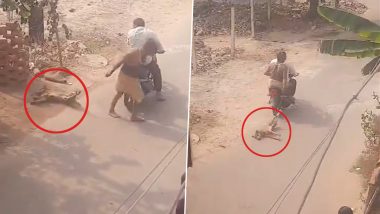 Viral Video: क्रुरतेचा कळस! भटक्या कुत्र्याला बाईकने बांधून रस्त्यावर फरफटत नेलं, भयावह Video आला समोर, गुन्हा दाखल