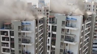 Pune Fire News: पुण्यातील इमारतीच्या अकराव्या मजल्यावर आग, घटनेत कोणतीही जीवितहानी नाही