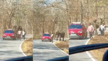Elephant  Attack Viral Video: अभयारण्यात रस्त्याच्या कडेला फोटो काढणाऱ्या पर्यटकांवर हत्तीचा हल्ला; धावत केला पाठलाग, जाणून घ्या काय घडले पुढे (Watch)