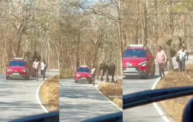 Elephant  Attack Viral Video: अभयारण्यात रस्त्याच्या कडेला फोटो काढणाऱ्या पर्यटकांवर हत्तीचा हल्ला; धावत केला पाठलाग, जाणून घ्या काय घडले पुढे (Watch)