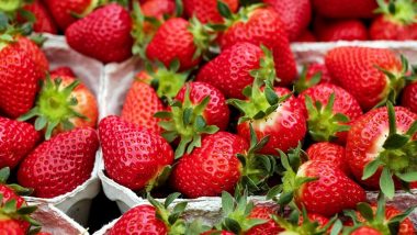 Beware! Suspicious Strawberries in Market: पुण्यातील बाजारात दिसल्या लाल रंगाचे पाणी लावलेल्या स्ट्रॉबेरीज; FDA ने सुरु केली जनजागृती मोहीम (Watch Video)