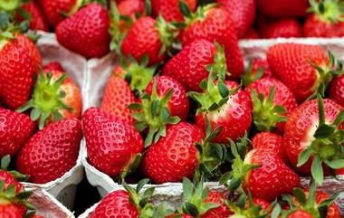 Beware! Suspicious Strawberries in Market: पुण्यातील बाजारात दिसल्या लाल रंगाचे पाणी लावलेल्या स्ट्रॉबेरीज; FDA ने सुरु केली जनजागृती मोहीम (Watch Video)