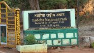 Tadoba Festival 2024: येत्या 1 ते 3 मार्च दरम्यान 'ताडोबा महोत्सवा'चे आयोजन; कवी संमेलन, ट्रेझर हंट स्पर्धा, नृत्य सादरीकरणासह अनेक सांस्कृतिक कार्यक्रमांचे आयोजन