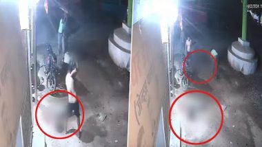 Chhattisgarh Video: क्षुल्लक कारणावरून दोन तरुणांना बेदम मारहाण, एकाच मृत्यू,1 गंभीर जखमी