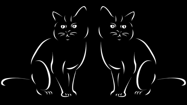 Cat And Kittens: जीव वाचताच मांजर पळाली, पण पिल्लांसाठी परत आली; मुंबईकरांनी पाहिले मातृप्रेम