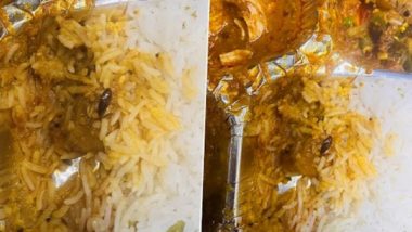 Cockroach Found in The Meal of Vande Bharat Train: वंदे भारत ट्रेनमध्ये जेवणात आढळले झुरळ, आयआरसीटीसीने मागीतली माफी (See Pics
