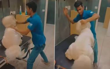 Dog Beaten By Pet Clinic Staffer: प्राण्यांच्या केअर सेंटर मध्ये कुत्र्याला मारहाणीचा व्हिडिओ वायरल; श्वानप्रेमींनी सोशल मीडीयात संताप व्यक्त करत केली कठोर कारवाईची मागणी  (Watch Video)