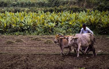 PM-Kisan Samman Nidhi चा 16 वा हप्ता जारी; तुम्हांला मिळाला का? असं तपासा!