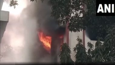 Fire breaks out in Navi Mumbai MIDC: नवी मुंबईतील तुर्भे इंडस्ट्रियल पार्कमध्ये कारखान्याला भीषण आग (Watch Video)
