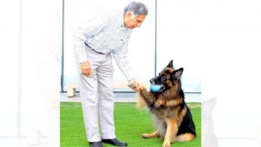 Ratan Tata यांचं 'Pet Project' चं स्वप्न अखेर सत्यात उतरलं; मुंबईकरांना मिळणार टाटांचं सुसज्ज पशू रूग्णालय!