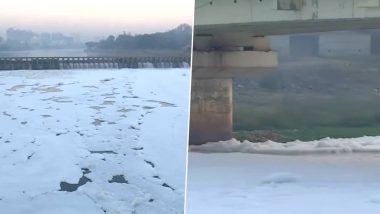 Indrayani River Polluted: पुण्यात इंद्रायणी नदी वर पुन्हा फेसाचा जाड थर!