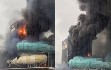 Massive Fire at Sweden’ Water Park: स्वीडनच्या लिसेबर्ग मनोरंजन पार्कमध्ये भीषण आग; अनेकजण जखमी, समोर आला धक्कादायक व्हिडिओ (Watch)