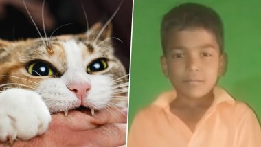 Death Due to Cat Bite: मांजर चावल्यामुळे 11 वर्षाच्या मुलाचा मृत्यू, नागपूरातील खळबळजनक घटना