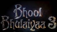 Bhool Bhulaiyaa 3 Box Office Collection Day 14: 'कांगुवा'समोरही 'रूह बाबा'ची जादू चालली, 'भूल भुलैया 3'ने 14व्या दिवशी इतके कोटी कमावले