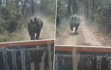 Rhino Chases Safari Vehicle: सफारी वाहनाच्या मागे 1.5 किलोमीटर धावत राहिला गेंडा; आसाममधील मानस राष्ट्रीय उद्यानातील घटना (Watch Video)