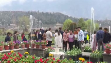 Tulip Garden: श्रीनगरमधील जगप्रसिद्ध ट्यूलिप गार्डन पर्यटकांसाठी खूले (Watch Video)