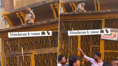 Viral Video: खोडकर माकडाने हिसकावला चष्मा, पुढे माकडाने जे केले ते पाहून बसेल धक्का, व्हिडीओ व्हायरल
