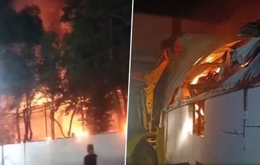 Telangana Fire: तेलंगणा येथील कृषी कीटकनाशकांच्या गोदामाला आग, कोणतीही जीवितहानी नाही