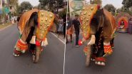 Viral Video: हत्तीने रस्त्यावर केला अप्रतिम डान्स, स्टेप्स पाहून तुम्हीही व्हाल गजराजचे चाहते, पाहा व्हिडीओ