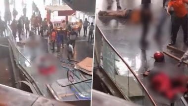 Grill Collapses At Blue Sapphire Mall In Noida: ग्रेटर नोएडामधील ब्लू सॅफायर मॉलमध्ये ग्रिल कोसळून 2 जणांचा मृत्यू (Watch Video)