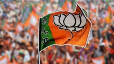 Palghar Lok Sabha Election 2024: पालघर मध्ये शिंदे गटाला धक्का; भाजपा च्या Hemant Vishnu Savara यांना उमेदवारी जाहीर