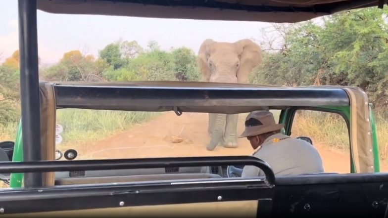 Elephant Attack On Tourists Bus: प्रवाशांनी भरलेल्या बसवर हत्तीचा हल्ला, सोडेने उचलले वाहान (Watch Video)