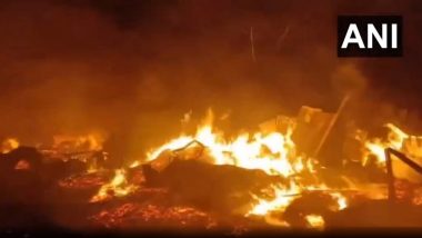 Fire Breaks Out in Bhiwandi: भिवंडी परिसरात एका भंगाराच्या गोदामाला भीषण आग (Video)