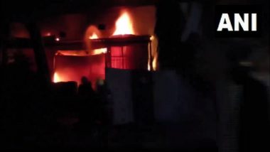Fire Broke Out In Telangana: तेलंगणातील तेल गोडाऊनला लागलेली आग आटोक्यात