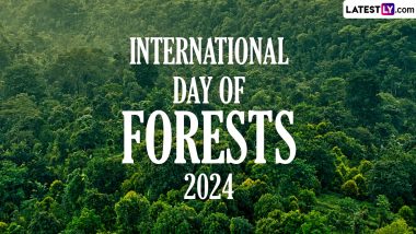 International Day of Forests 2024: आंतरराष्ट्रीय वन दिनाची तारीख, इतिहास आणि महत्व, जाणून घ्या