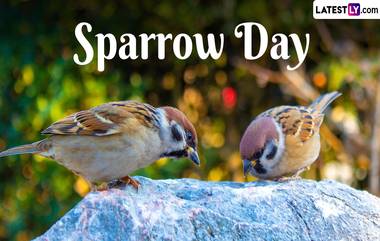 World Sparrow Day 2024: जागतिक चिमणी दिनाची तारीख, इतिहास आणि महत्व, जाणून घ्या