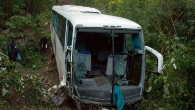 South Africa Bus Accident : भाविकांच्या बसचा भीषण अपघात; बस दरीत कोसळून ४५ जणांचा मृत्यू, ८ वर्षांचा चिमुकला बचावला