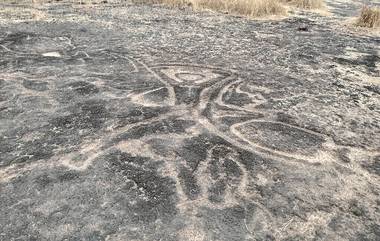 Geoglyphs In Ratnagiri: दापोली, मंडणगड मध्ये आढळली 10 हजार वर्ष जुनी कातळशिल्पं!