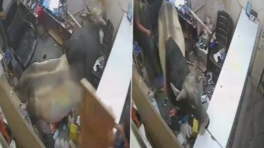Bull Inside Shop in Delhi: बापरे! मोबाईल रिपेअर दुकानात अचानक घुसला बैल; कर्मचाऱ्यांची उडाली घाबरगुंडी (Watch Video)