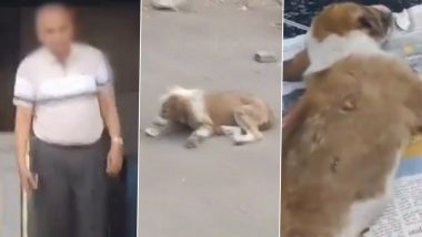 Pune Video: दुकानदाराकडून कुत्र्यांच्या पिल्लांना बेदम मारहाण, Video व्हायरल