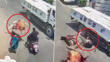 Bengaluru Bull Attack Video: बैलाच्या हल्ल्यात दुचाकीस्वार मरतामरता वाचला; बंगळुरूमधील घटनेचा व्हिडीओ व्हायरल (Watch Video)