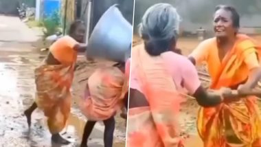 Viral Video: दोन आजींची भररस्त्याच मारामारी, व्हिडिओ पाहून नेटकऱ्यांना हसू आवरेना