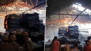 West Bengal Fire: हावडामधील ताग कारखाना आगीच्या विळख्यात; अग्निशमन दलाकडून आगीवर नियंत्रण मिळवण्याचे प्रयत्न सुरू (Watch Video)