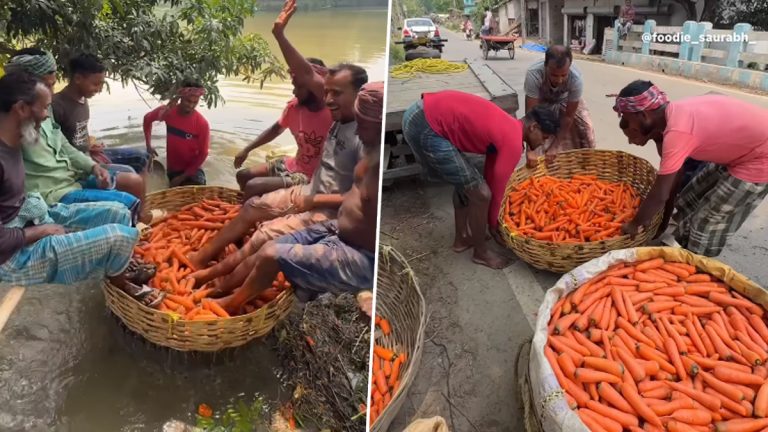 Viral Video: मॉलमध्ये खेळताना झाला मोठा 'गेम', बॉलिंग करताना आईने फोडला टीव्ही