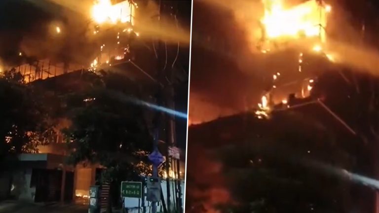 Noida Fire Video: उत्तर प्रदेशातील नोएडा सेक्टर 65 येथील इमारतीला भीषण आग, बचाव कार्य सुरु