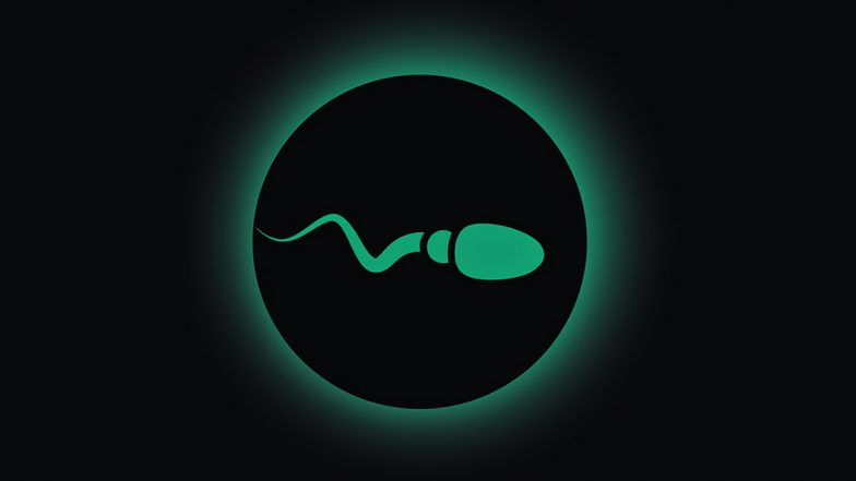 Sperm Count Study: चिंताजनक! 1973 ते 2018 दरम्यान सरासरी शुक्राणूंची संख्या निम्म्याहून अधिक कमी झाली; अभ्यासात समोर आली धक्कादायक माहिती