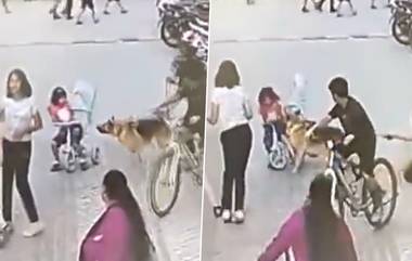 Pet Dog Drags Woman Owner: गाझियाबाद सोसायटीत पाळीव कुत्र्याचा मुलीवर हल्ला, घटना कॅमेऱ्यात कैद (Watch Video)