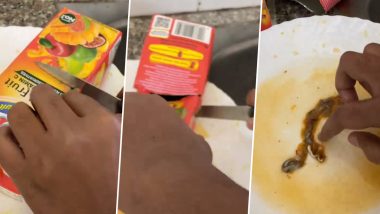 Fungus-Like Substance In Juice Pack: लोकांच्या आरोग्याशी खेळ; व्यक्तीला ज्यूसच्या पॅकेटमध्ये सापडला बुरशीसारखा पदार्थ, कंपनीने दिले 'हे' स्पष्टीकरण (Watch Video)