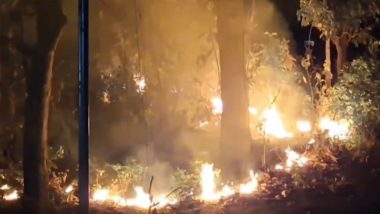 Uttarakhand Forest Fire News: उत्तराखंडमध्ये जंगलाला भीषण आग, 33.34 हेक्टरवरील झाडे जळून खाक